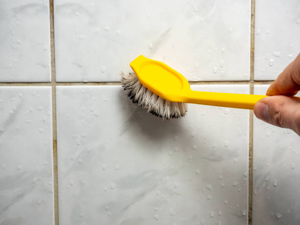 Best Certified Mold Removal  in Sahuarita, AZ